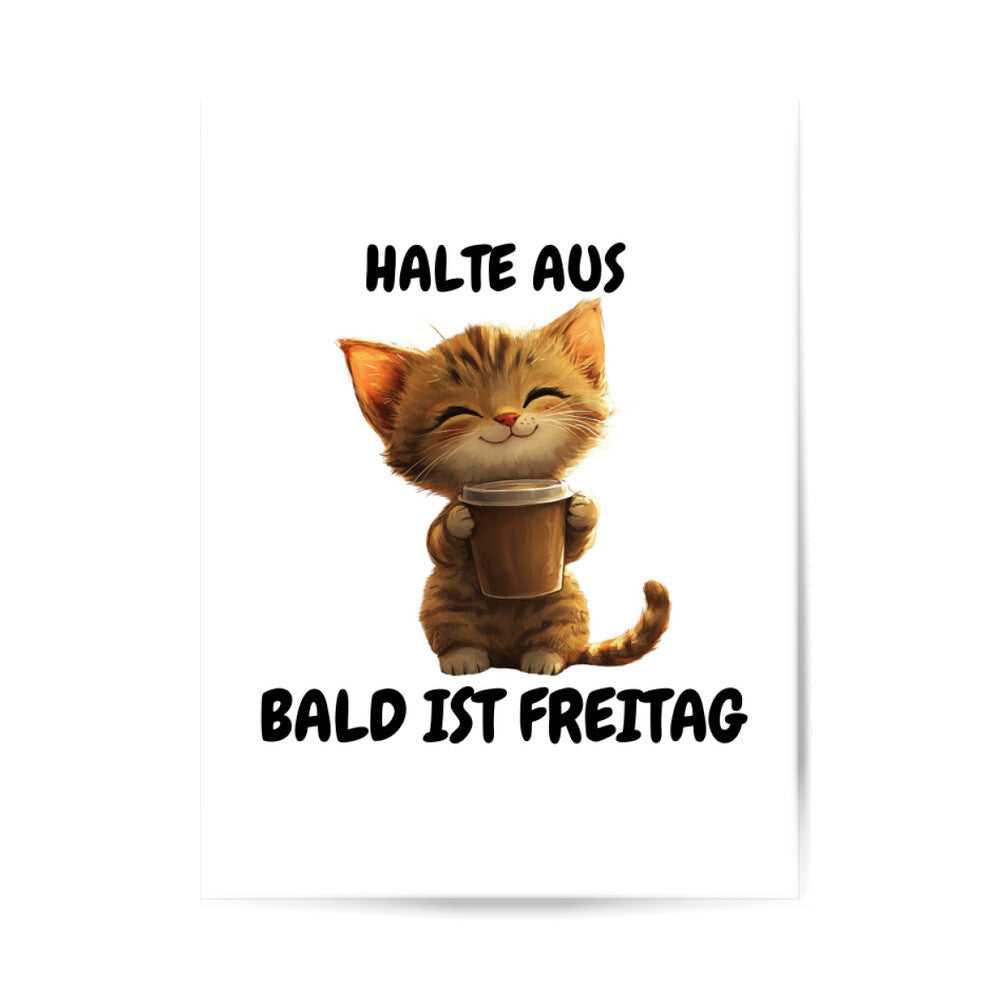 d56df881-6330-43da-9466-46b9092d7bc9